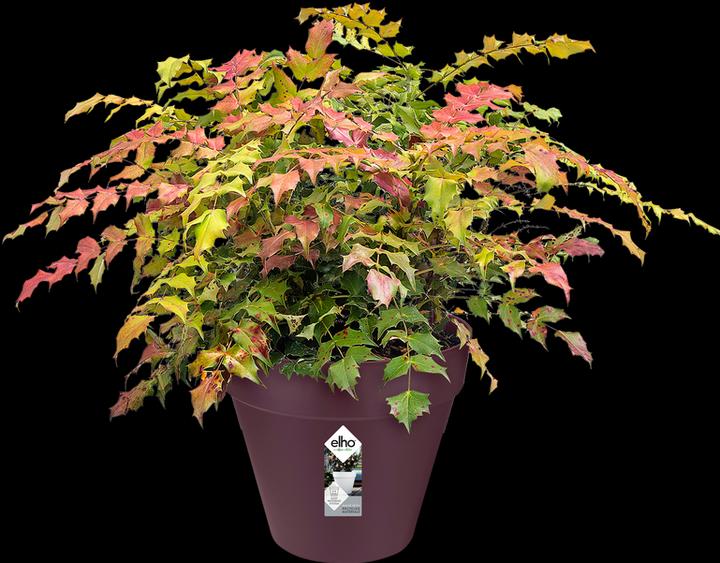 Produktbild Elho Loft Urban (22 cm)