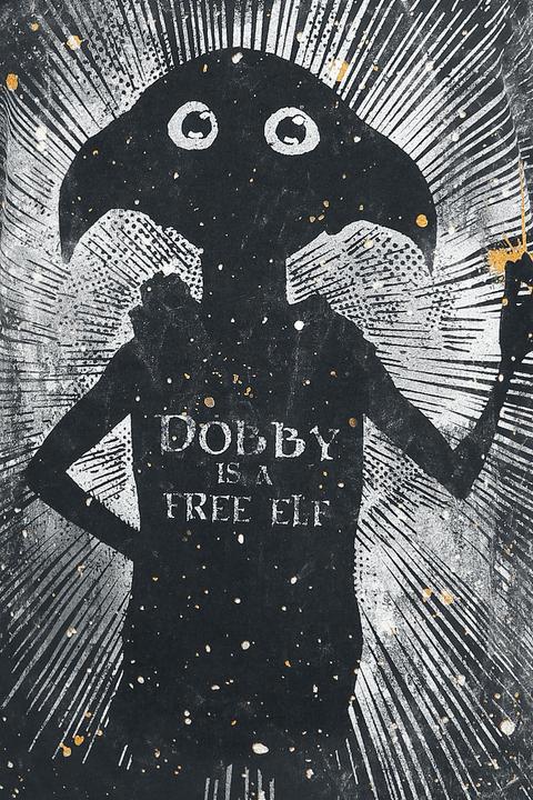Image du produit Dobby Is A Free Elf (M)