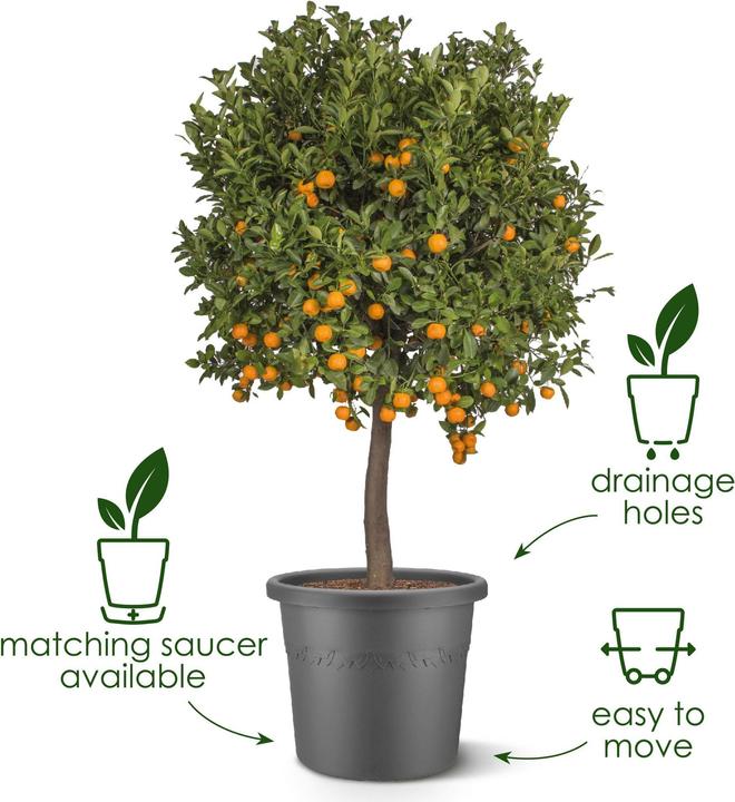 Produktbild Elho Algarve Cilindro (24.50 cm)