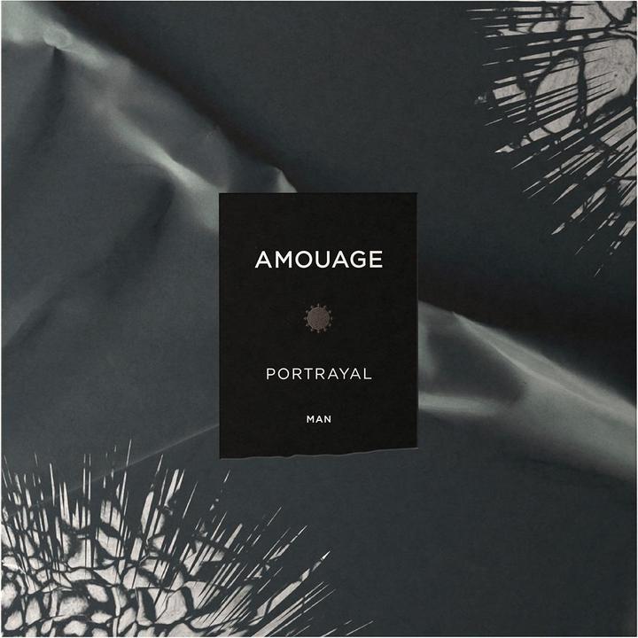 Image du produit Amouage Portrayal Man - EDP - Volume : 100 ml (Eau de parfum, 100 ml)