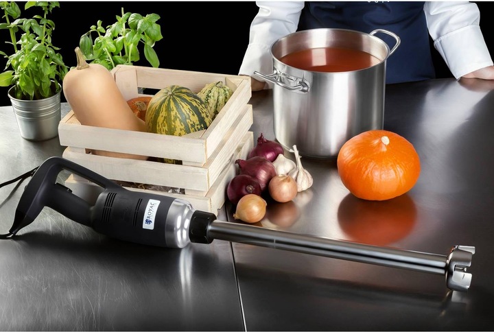 Actual product image Royal Catering Hand blender - 500 W - 500 mm - adjustable speed 4,000 to 16,000 rpm