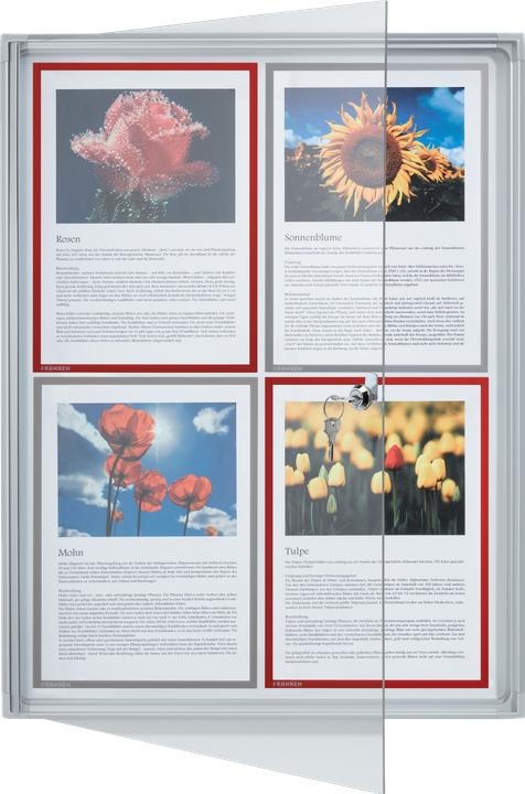Image du produit Franken Vitrine d'affichage x-tra!Line 4 x DIN A4 intérieur magnétique et sec