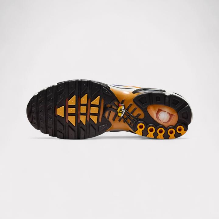 Image du produit Nike Air Max Plus One Block Down (43)