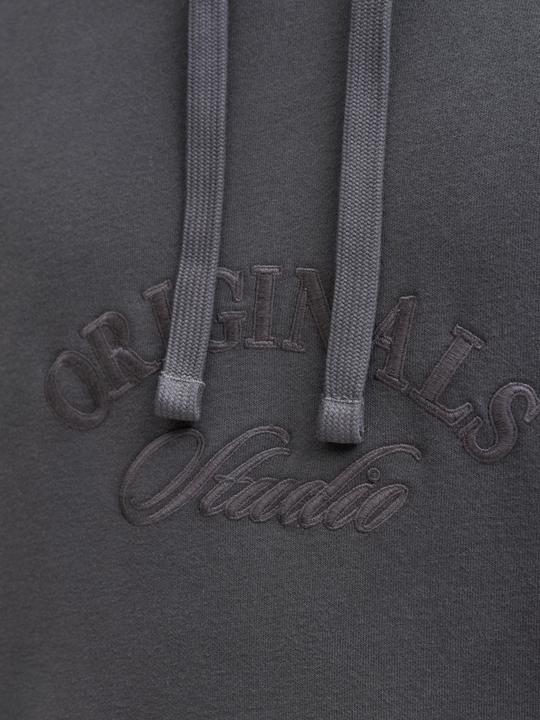 Produktbild Jack & Jones Jorbleecker Branding Sweat Hood Bf (M)