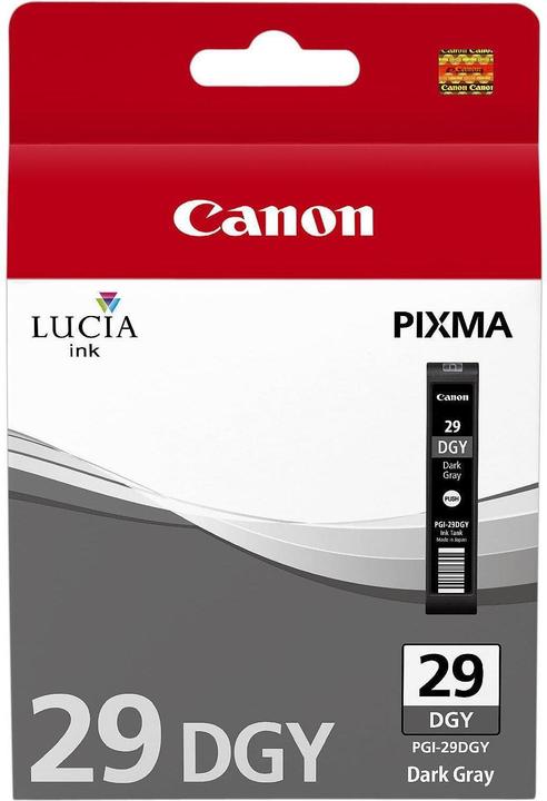 Actual product image Canon Pgi-29dgy (DGY)