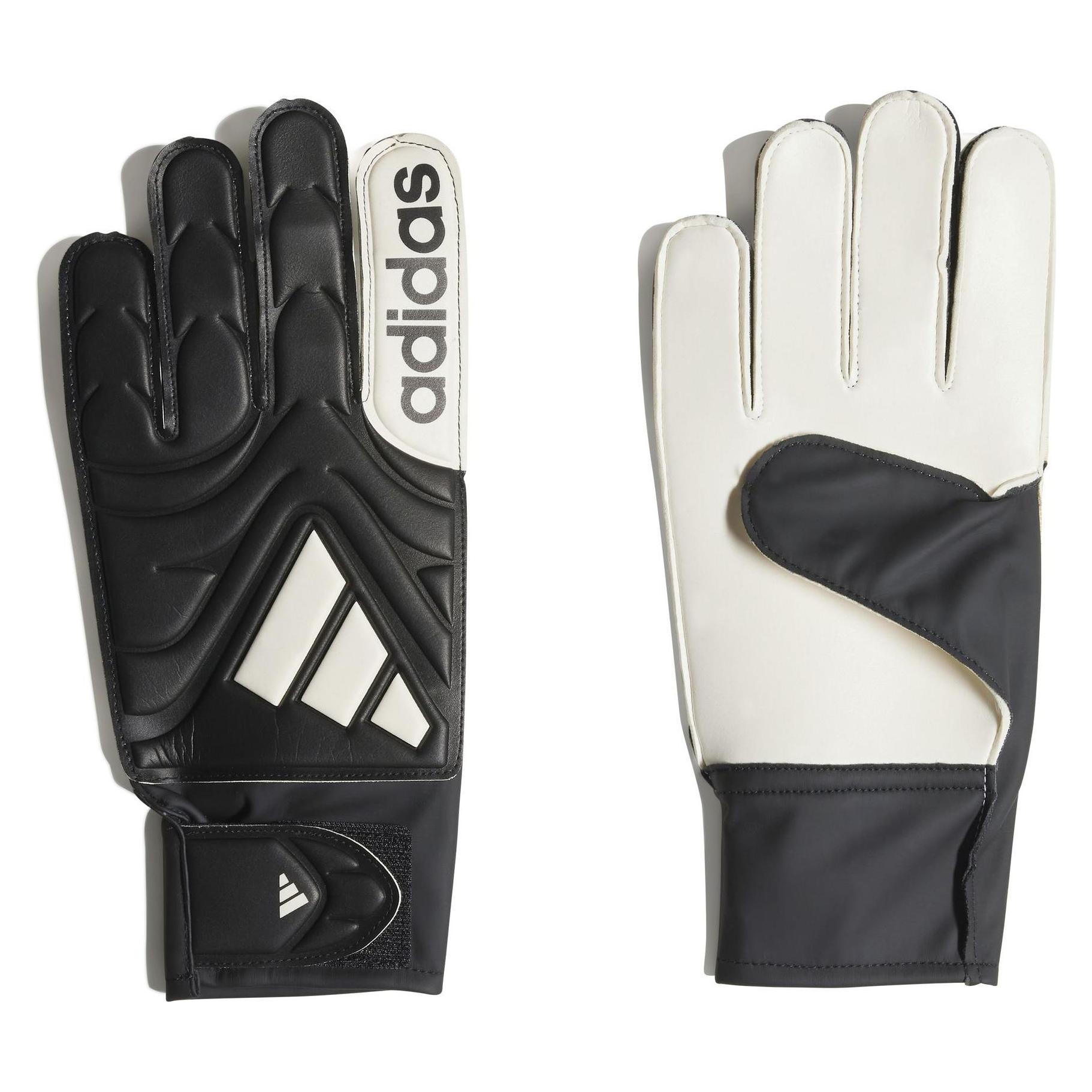 Adidas, Mannen, Handschoenen, Copa Club Handschuhe, Zwart, (11)