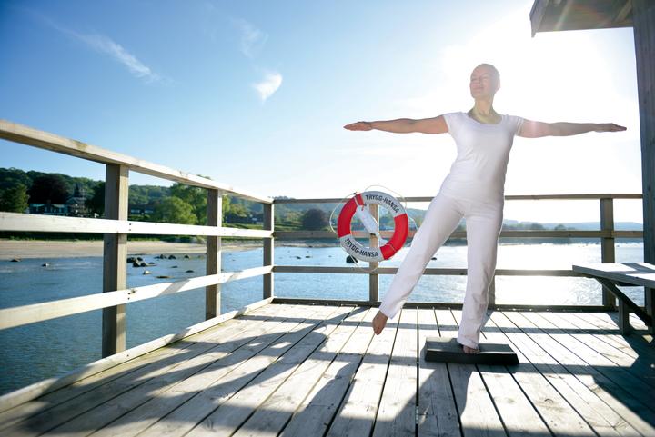 Immagine prodotto Sissel Cuscinetto Balancefit