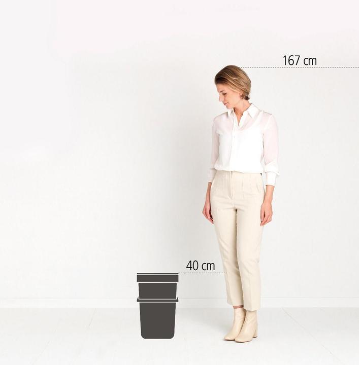 Immagine prodotto Brabantia Portarifiuti Sort & Go 25 l, grigio chiaro (25 l)