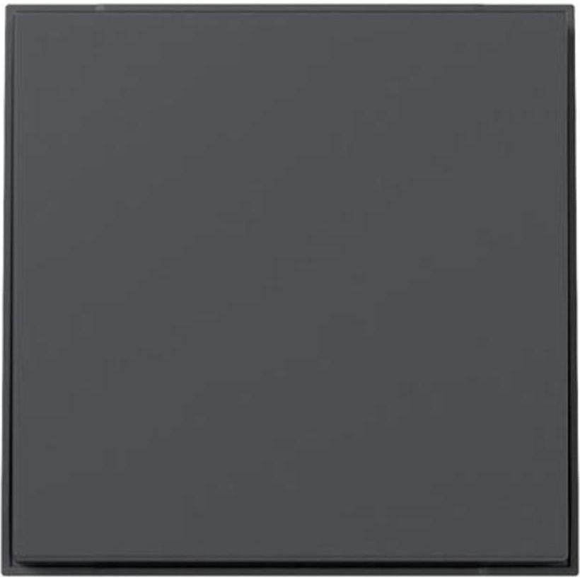 Gira, Zubehör Schalterprogramm, Wippe gerade