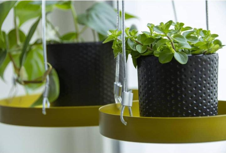 Image du produit Esschert Design Plateau décoratif