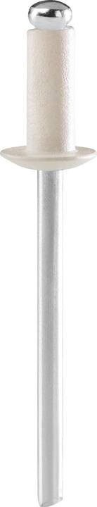 Actual product image Rapid Cream white blind rivets Ø 4.8 x 12 mm
