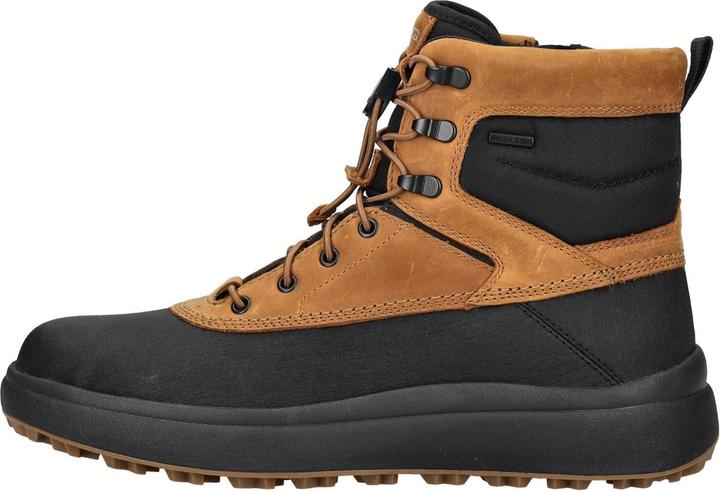Mustard, Black C2565