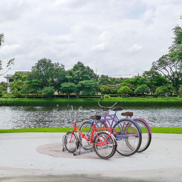 Actual product image Arebos Bicycle stand