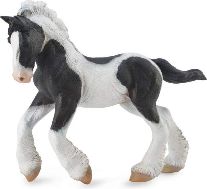 black-and-white piebald