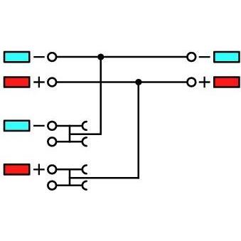 Thumbnail - 15x Wago, Zubehör Elektroinstallation, 2000-5372