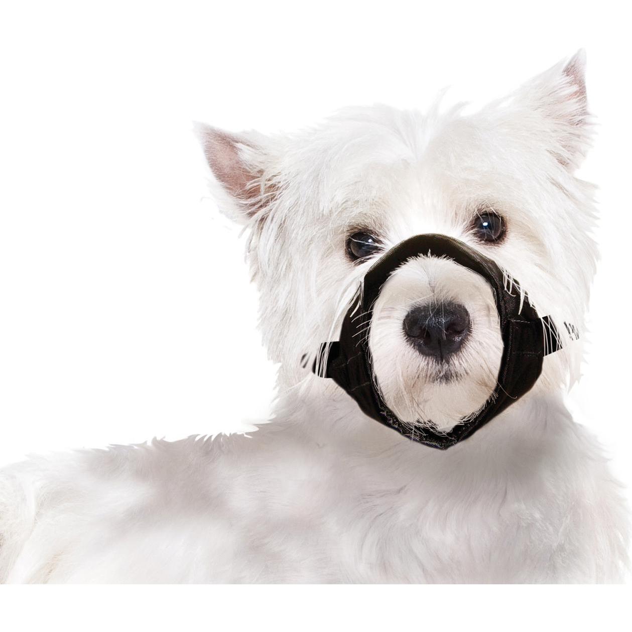 Muselière en nylon noir taille s - jack russel westie
