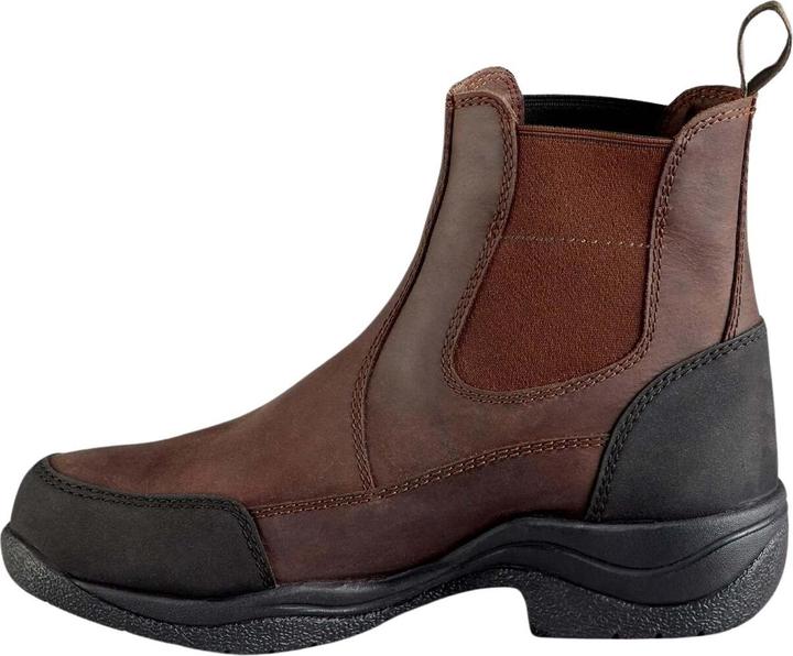 Image du produit Premier Equine Vinci (43)