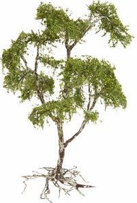 Produktbild Noch 34760 N Vergessener Ort Brunnen Bausatz