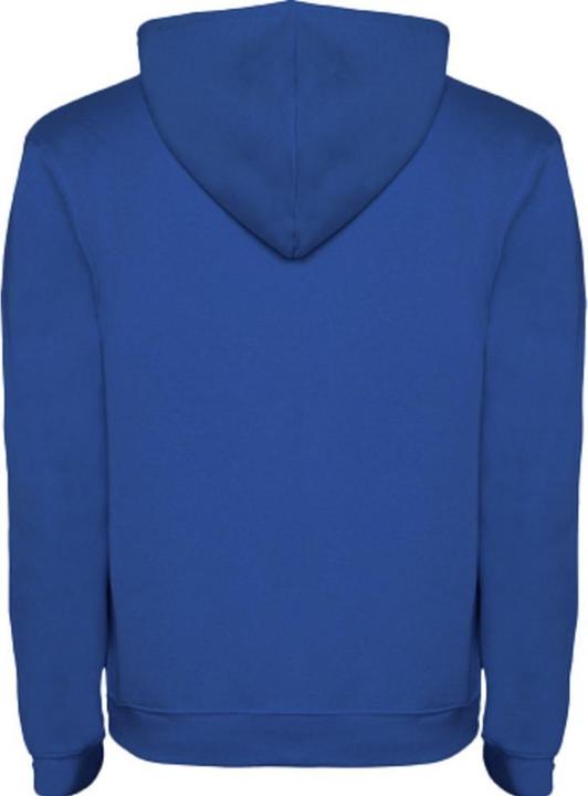 Image du produit Alpinia - Sweat à capuche URBAN - Homme (XL)