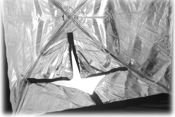 Produktbild Westcott Medium Apollo (Softbox, 71.10 cm)