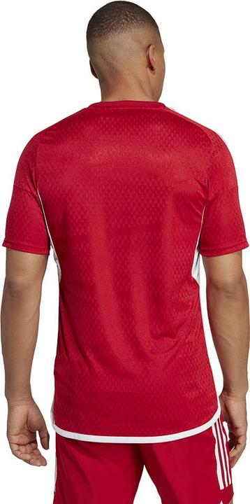 Produktbild adidas Tiro 23 Club Trikot Herren (XXL)