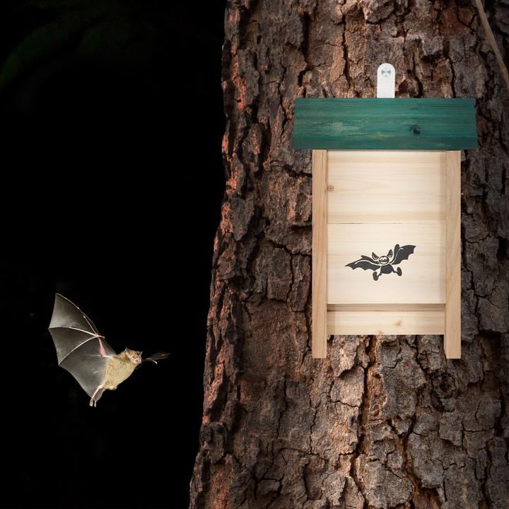 Produktbild Relaxdays 4x Fledermauskasten