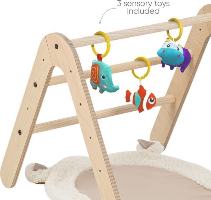 Actual product image MamaToyz Gimy fitness studio and bookshop