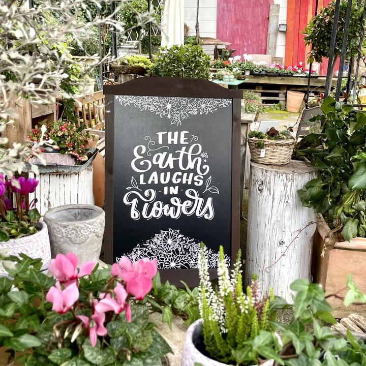 Actual product image Schneider Maxx 265 chalk pen (2-3 mm line width, can be wiped off with a damp cloth, water-based, odourless) (5 x)