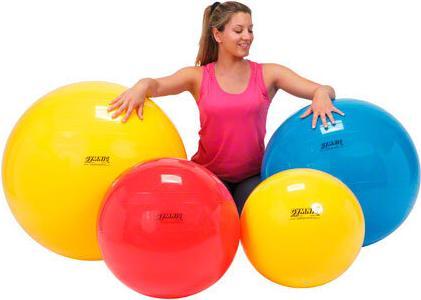 Immagine prodotto Ledraplastic Palla per esercizi (75 cm)