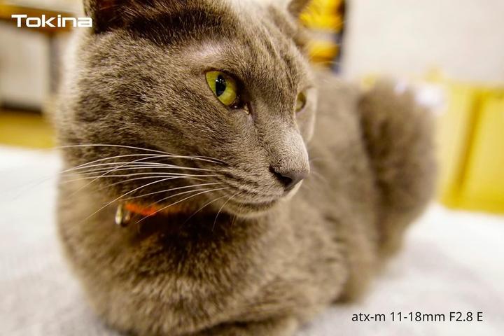 Image du produit Tokina ATX-M 11-18mm F2.8 Sony E (Sony E, APS-C / DX)