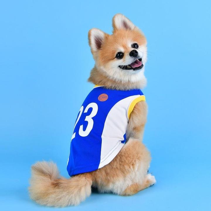 Produktbild Puppia Buzzer Beater (S, Hundeweste)