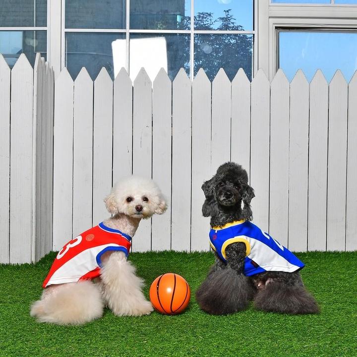 Produktbild Puppia Buzzer Beater (S, Hundeweste)