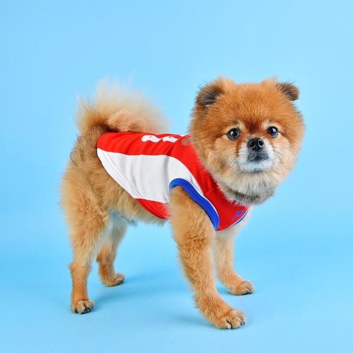 Produktbild Puppia Buzzer Beater (S, Hundeweste)