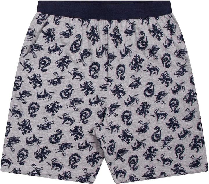 Actual product image Boys Hogwarts Alumni Short Pyjama Set (110)