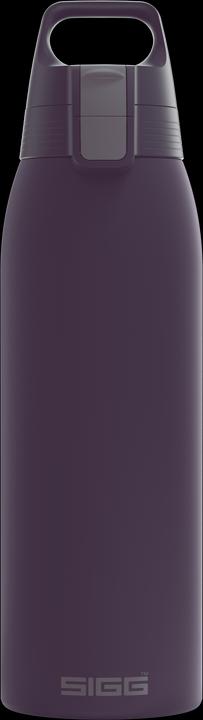 Sigg Geïsoleerde fles Shield Therm One 1 l (1 l)