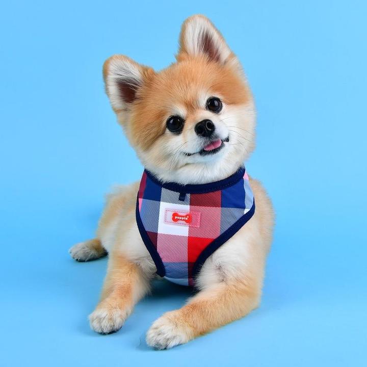 Immagine prodotto Puppia Imbracatura da petto Quinn A (XL, Cane, Passeggiare)