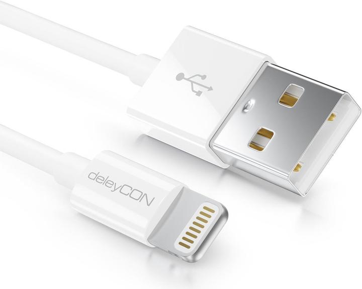 Actual product image deleyCON Lightning-USB cable (0.50 m, USB 2.0)