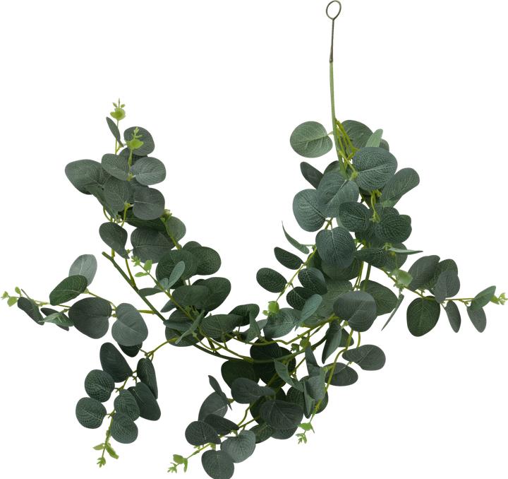 Actual product image Boltze Home Eukalyptus (18 cm)
