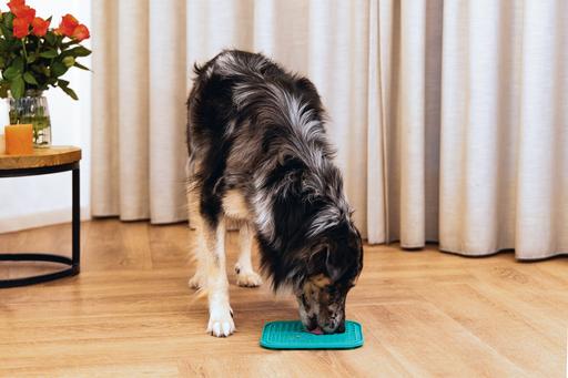 Produktbild Beeztees Leckmatte Gourmet (Snackbeutel Hund)