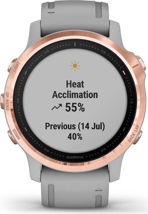 Produktbild Garmin Fenix 6S Sapphire (42 mm)