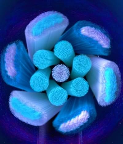 Image du produit Oral-B iO Ultimate (2 x)