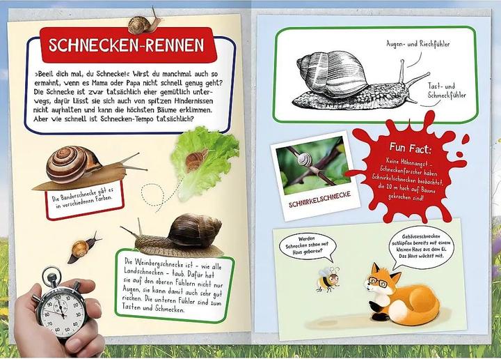 Actual product image Naturforscher-Kids – Mein erstes Naturforscher-Buch (German, Eva Eich, Natasa Kaiser, 2024)