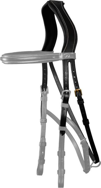 Actual product image Dy'on Hackamore