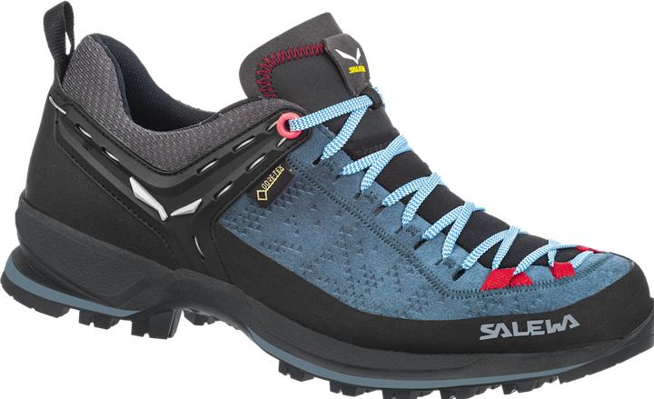 Image du produit Salewa MTN Trainer 2 GTX (41)