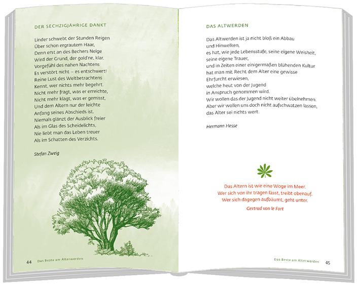 Produktbild Alt werden ist ein Glück (Deutsch, Claudia Peters, 2024)