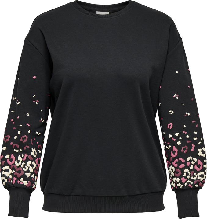 Produktbild Only CARBROOKE Sweatshirt Sweatshirt (54)