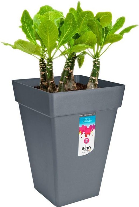 Actual product image Elho Loft Urban (29.30 cm)