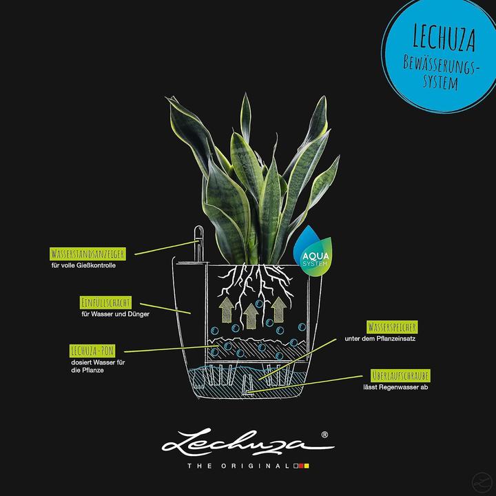 Actual product image Lechuza Classico Color (42 x 39.50 cm)