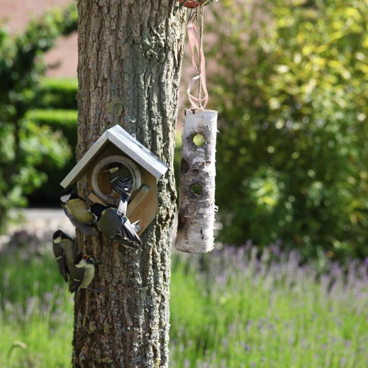 Produktbild Esschert Design FB213