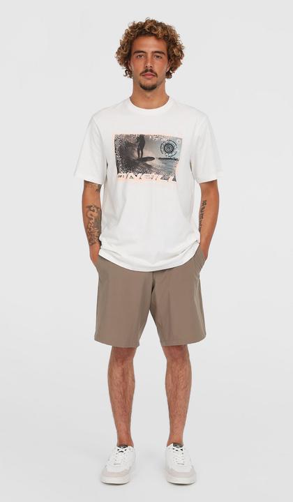 Actual product image O'Neill O’Neill Hybrid Chino 19” Shorts (29)